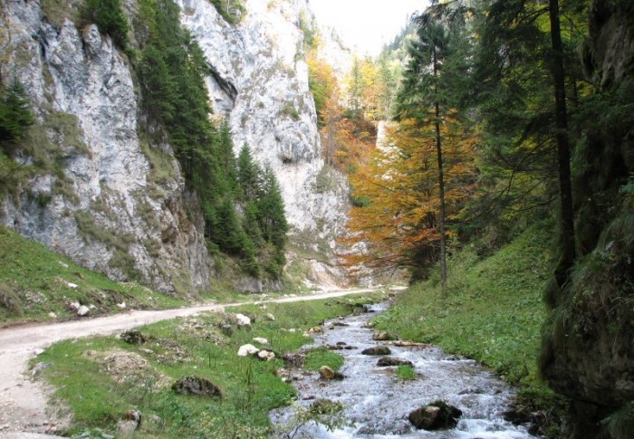 Dâmbovicioara primește bani de la Guvern să refacă drumurile locale