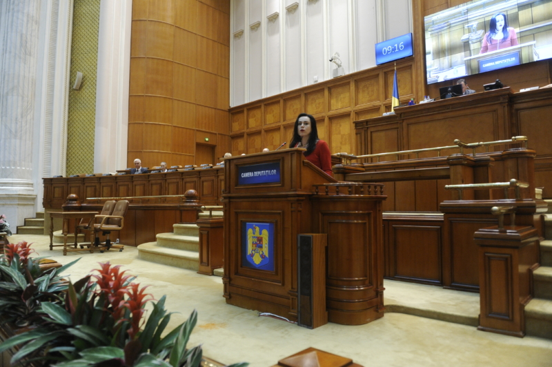 Deputatul Simona Bucura Oprescu se zbate în Parlament pentru primari!