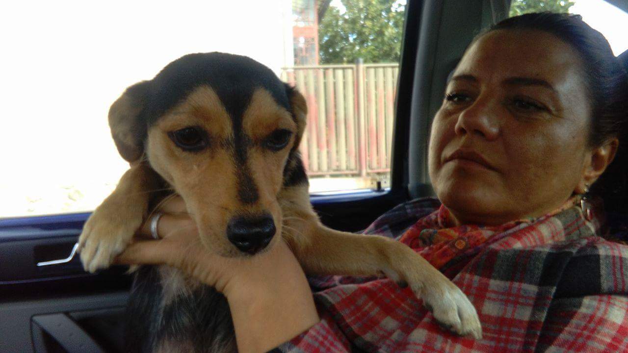 Am mai salvat un suflet! ANIMA ne-a sprijinit şi de această dată!