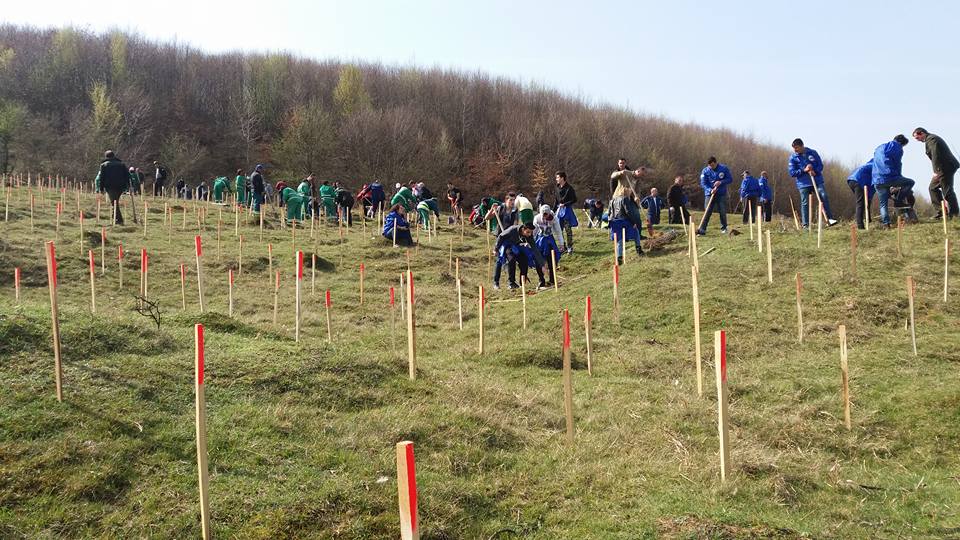 Ocolul Silvic ,,Codrii Verzi” – Poziție de top la capitolul ,,Marea Împădurire”