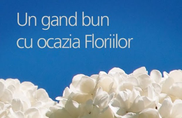 LA MULȚI ANI! Florile Argeșului și Muscelului!