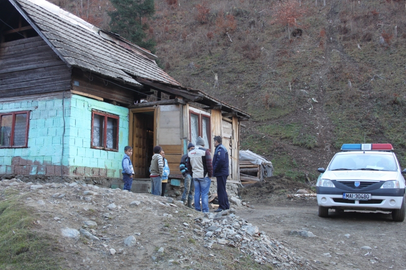 VIDEO: Zeci de percheziţii au fost desfăşurate la persoane suspectate de tăiere ilegală de arbori, furt de arbori, abuz în serviciu şi tăinuire!