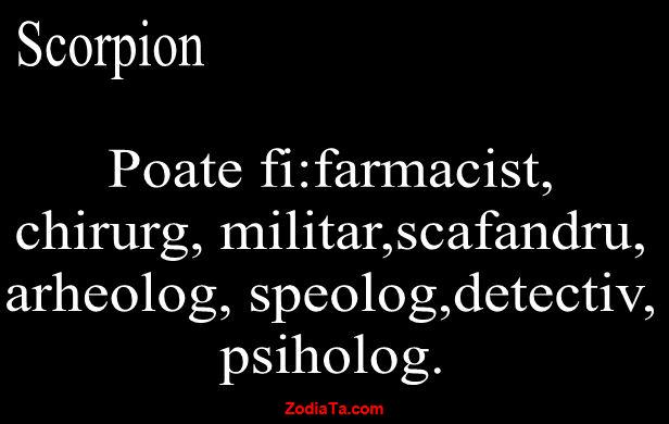 SCORPION: Bani și viața profesională în 2017!