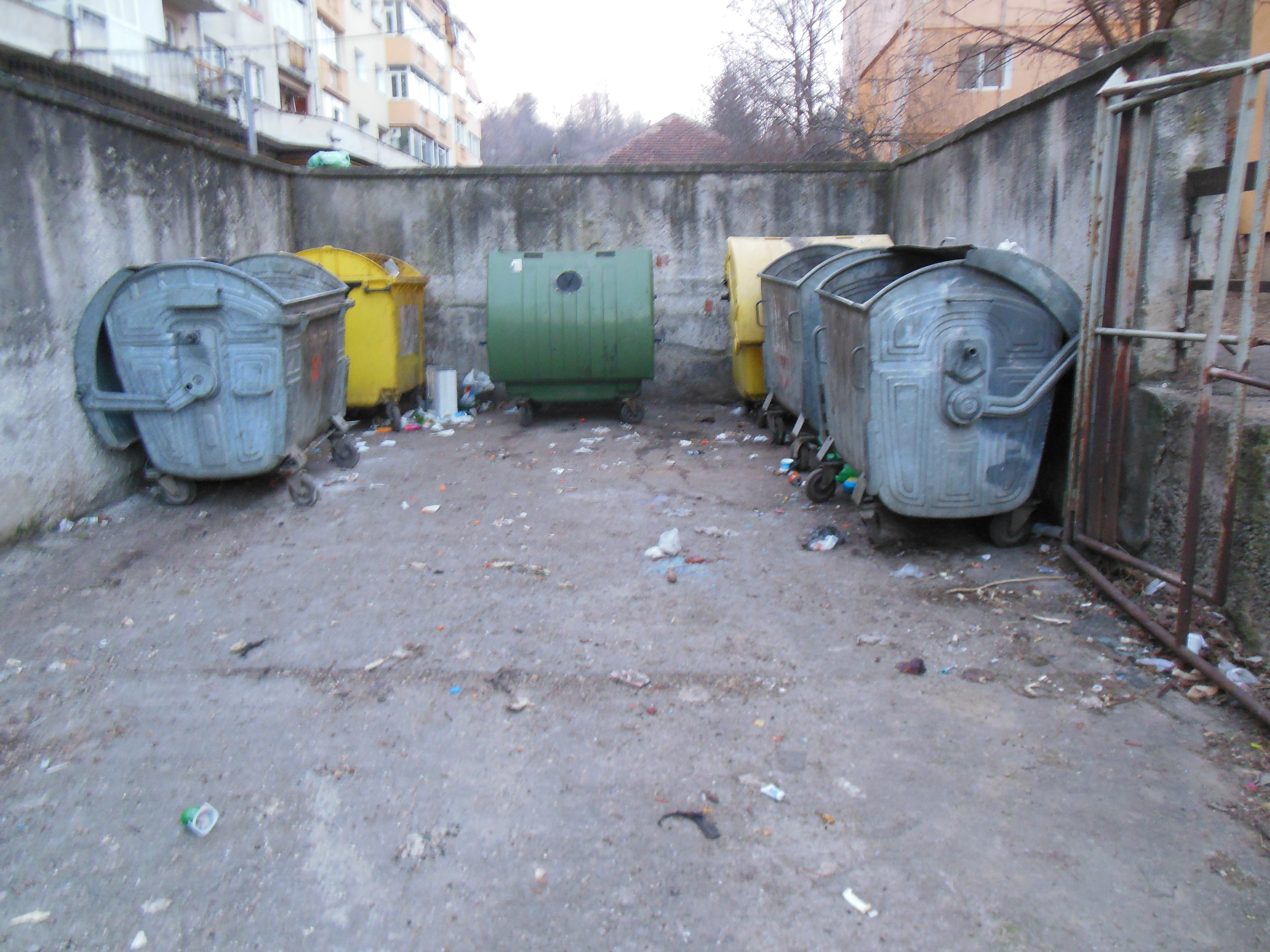 7 cățeluși de trei zile aruncați la gunoi, în centrul orașului!