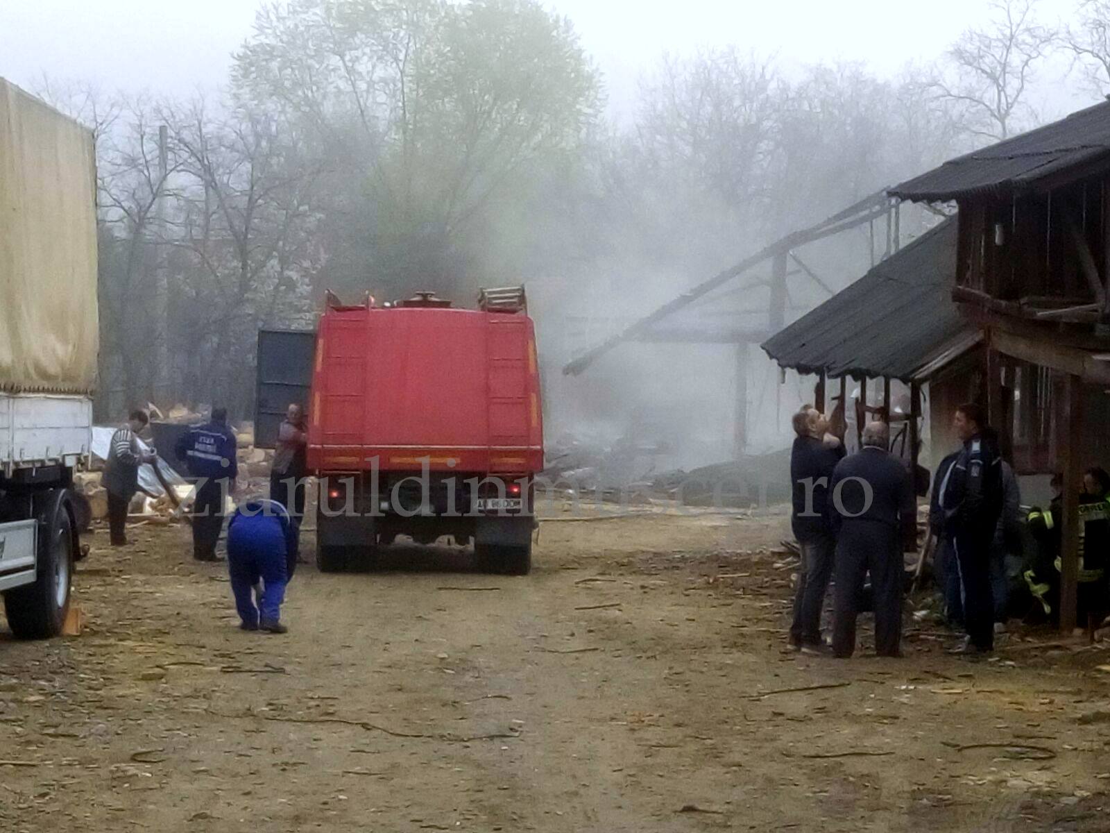Un gater a luat foc! Altele sunt ,,călcate” de oamenii legii!