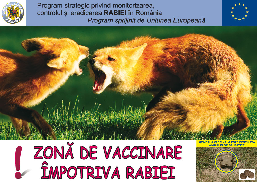 Toate vulpile din Argeș vor fi vaccinate!