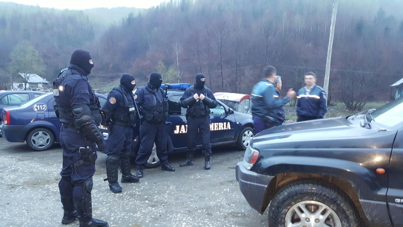 VIDEO: Descinderi în Muscel la hoţii de lemne!