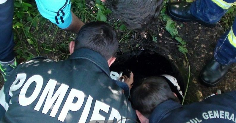 Un ciobănesc a fost salvat de pompierii musceleni!