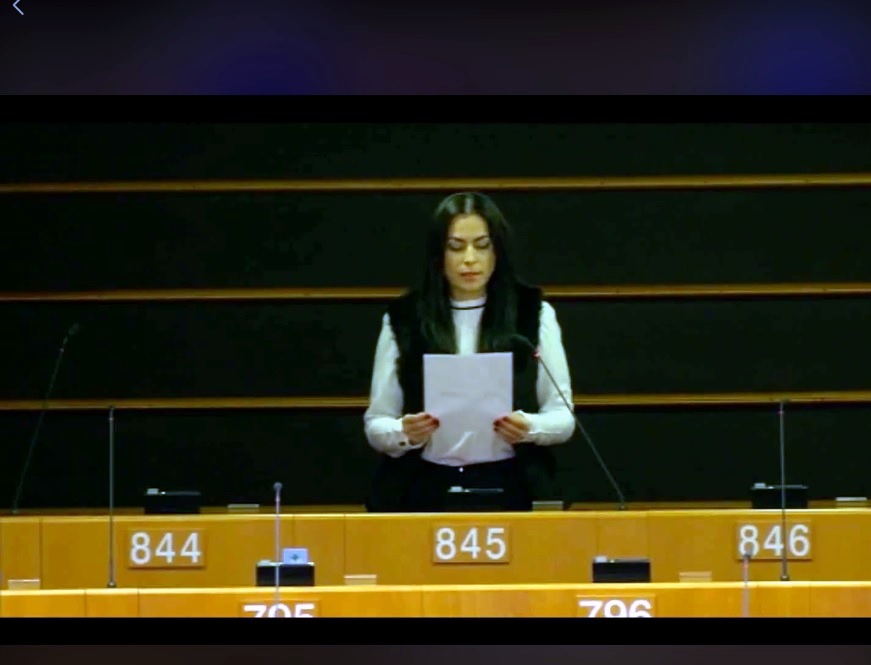 Europarlamentarul Gabriela Zoană consideră că „egalitatea între toți cetățenii UE este un drept fundamental, indiferent de statele membre din care provin”