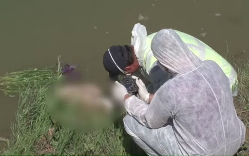Un cadavru fără cap și mâini descoperit în Argeș!