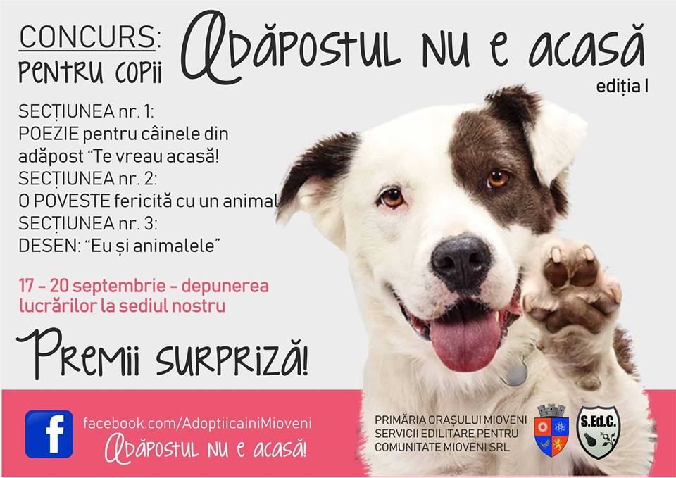 CONCURS!!! În cadrul campaniei “Adăpostul nu e acasă”!