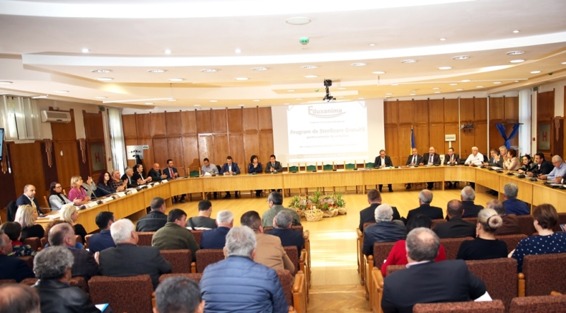 A fost lansat un program de sterilizare pentru animalele de companie!