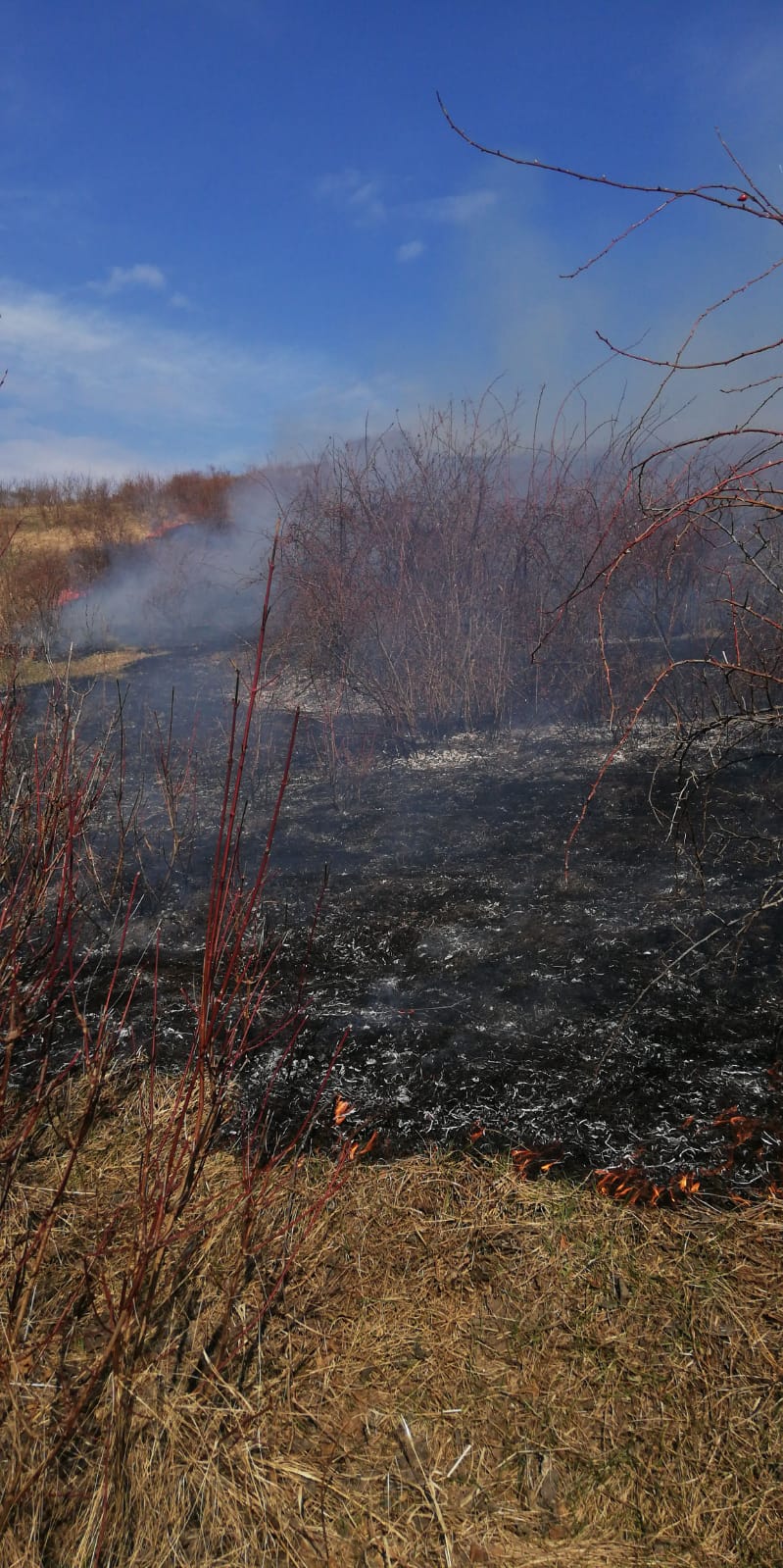 Peste 100 de hectare au ars în Argeş!