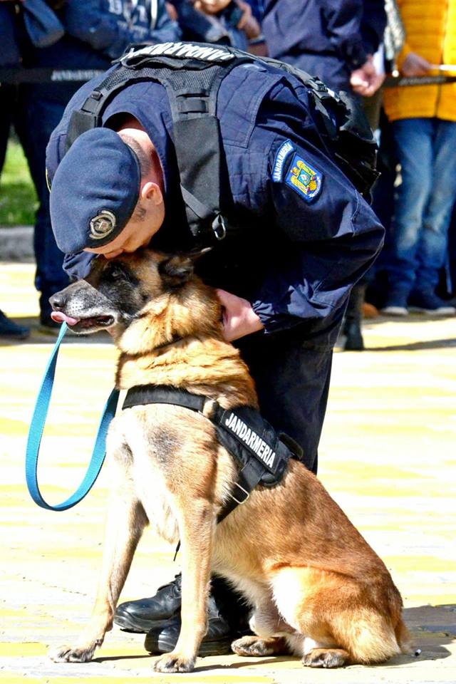 Asigurarea măsurilor de ordine publică la Simfonia Lalelelor