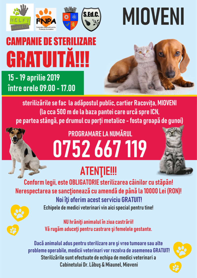 Campanie de sterilizare gratuită la Mioveni!