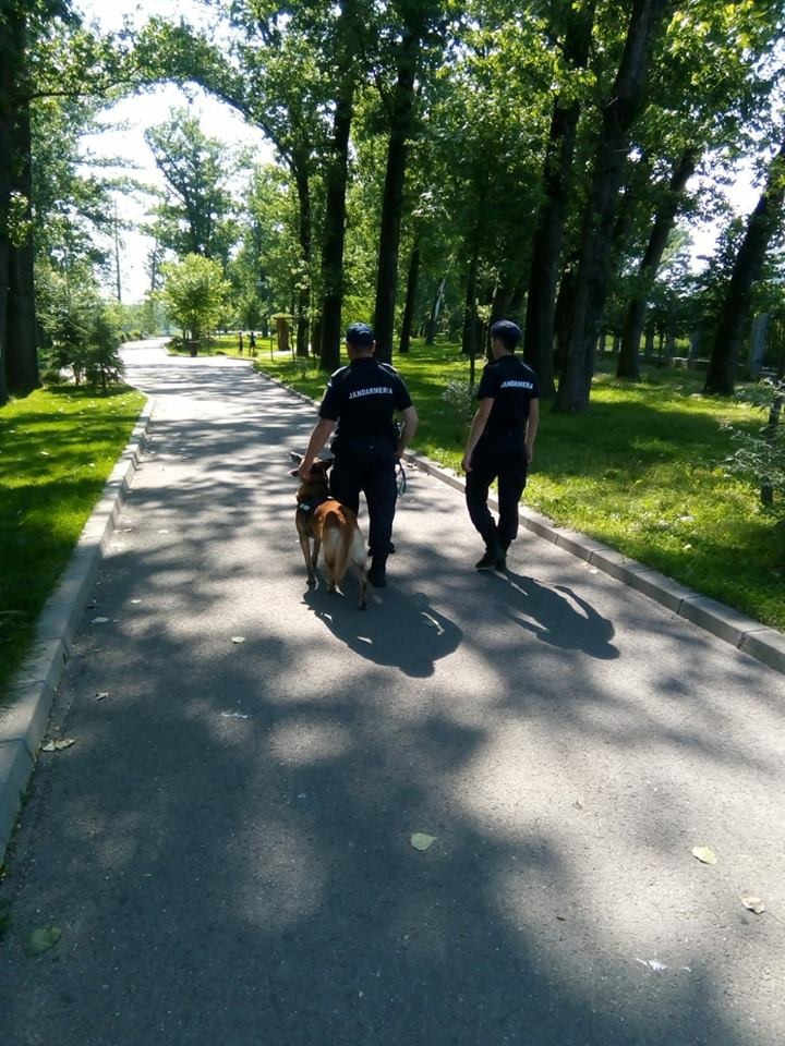Jandarmeria Argeș – alături de cetățeni în minivacanța ocazionată de Sărbătorile Pascale și 1 Mai