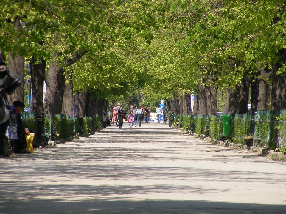 Se organizează Târg de Florii la Câmpulung!