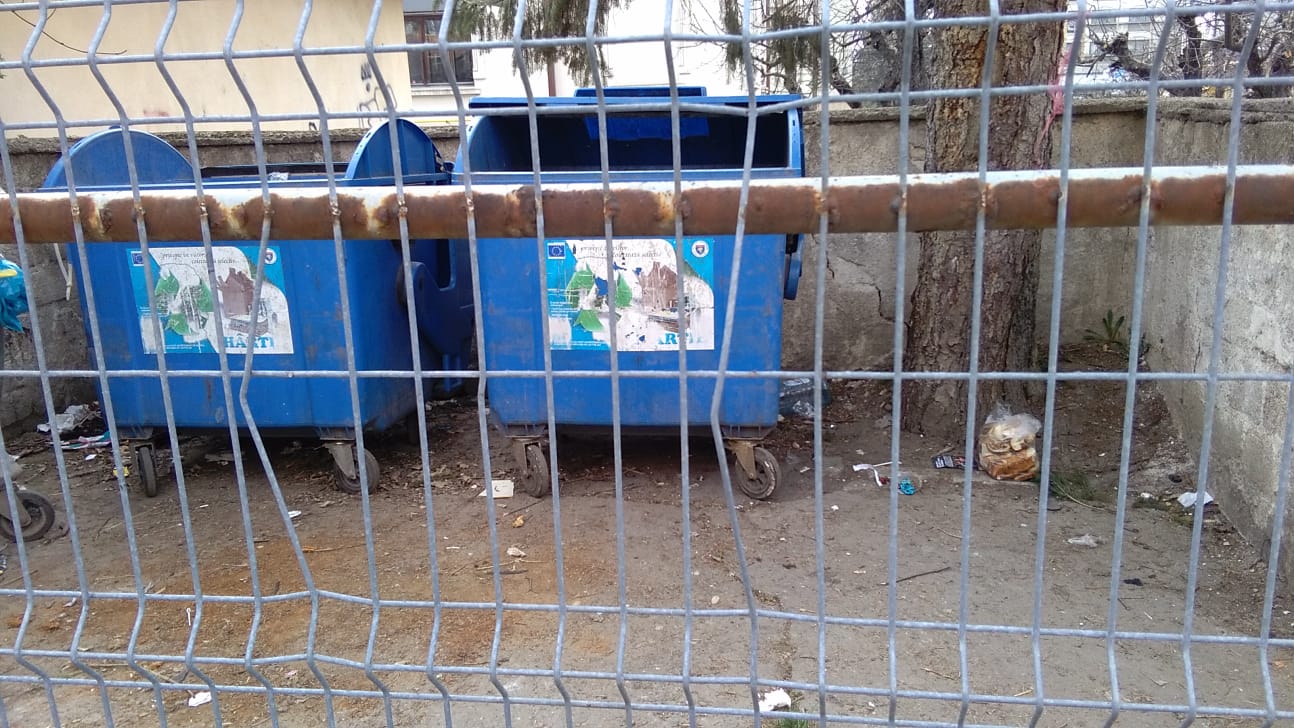 Alertă printre câmpulungeni! Pisicile sunt otrăvite…