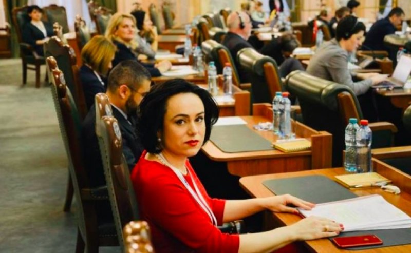 Simona Bucura Oprescu: Guvernul este alături de mediul de afaceri