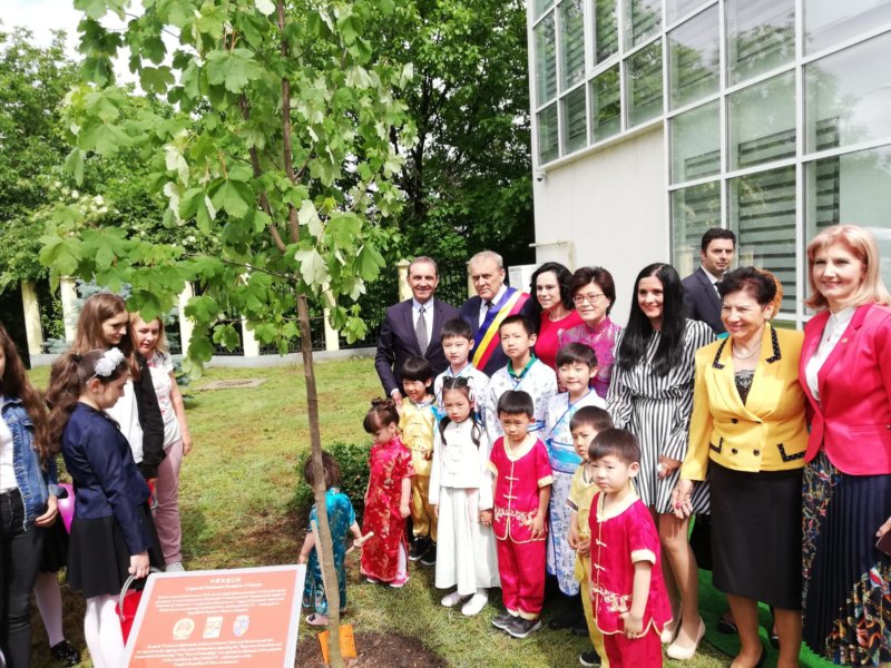 Un arțar a devenit copacul prieteniei între Mioveni și China!
