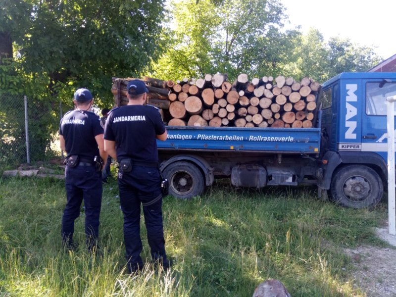 VIDEO: 4 metri cubi de lemn confiscați de jandarmi