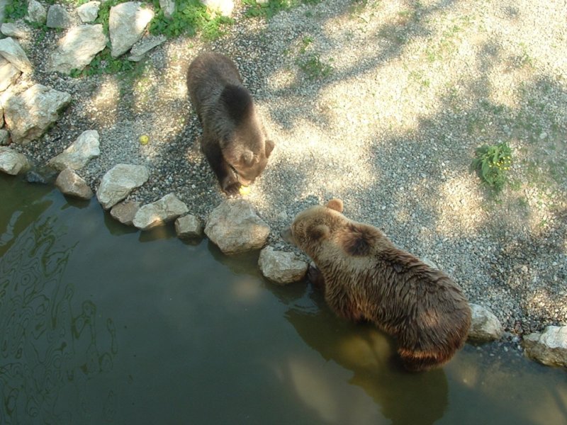 Ziua Porților deschise la Grădina Zoologică Pitești