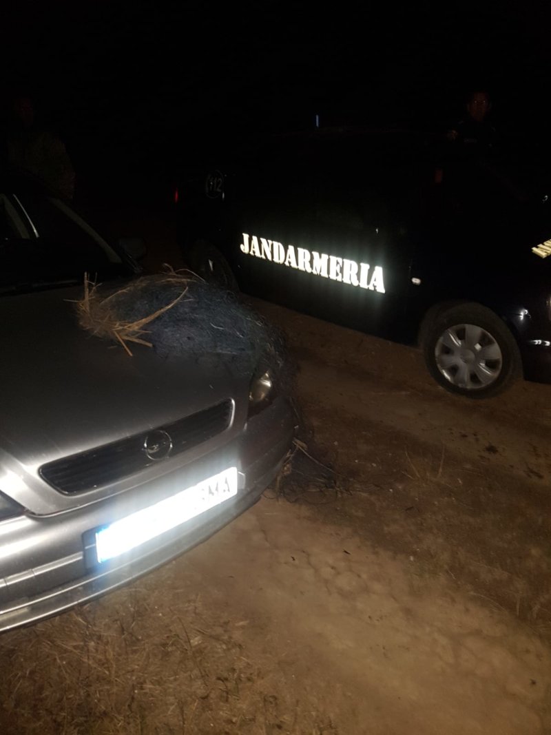 Surprinși de jandarmi în timp ce pescuiau la setcă