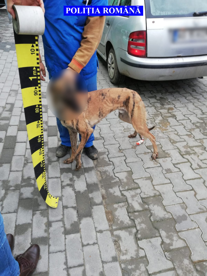 Reţinuţi pentru braconaj!