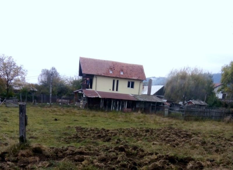 Mistreții i-au terorizat pe locuitorii din Lerești! VIDEO
