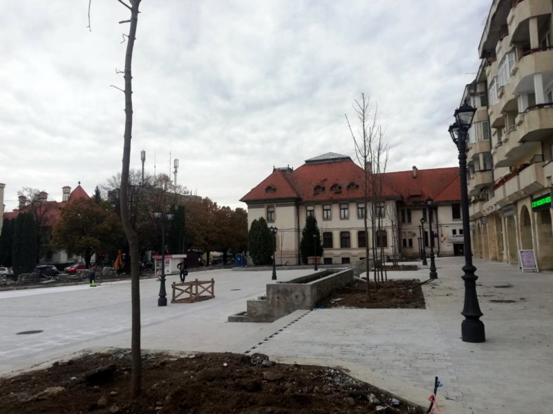 39 de copaci au fost plantați pe lângă betoane!