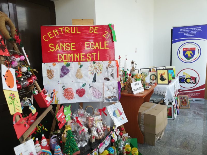 Centrul de zi pentru tineri ,,Șanse egale” Domnești