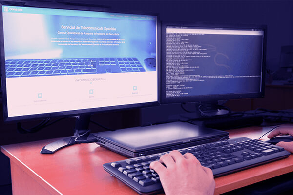 Declarația pe proprie răspundere se poate completa online pe platforma STS-ului
