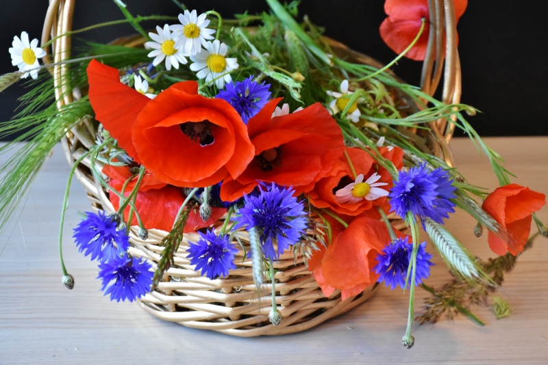 Mesajul primarului Georgescu pentru sărbătoriţii de Florii!