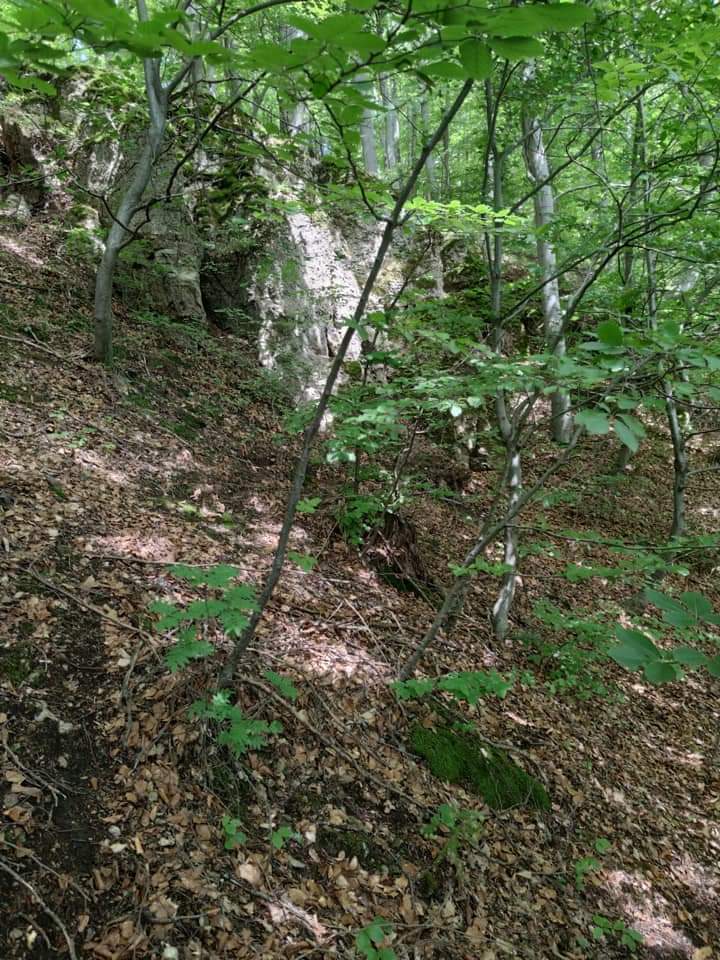 Problemele în dragoste l-au dus spre moarte!