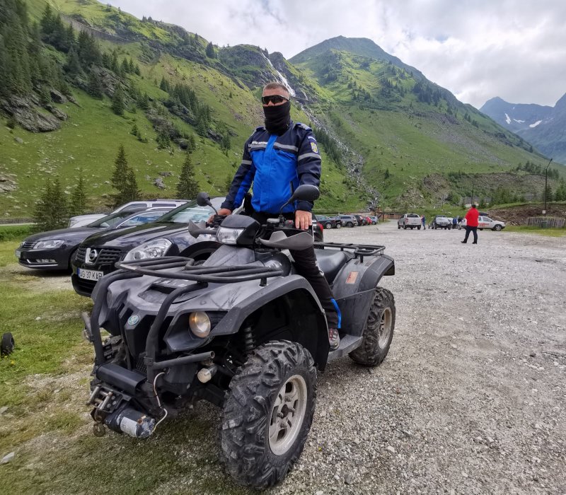 Un bărbat a primit o amendă de 200 de lei pentru că a hrănit o ursoaică cu 3 pui