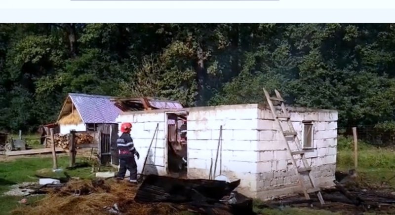 Jocul copiilor cu focul la un pas să mistuie un adăpost de animale