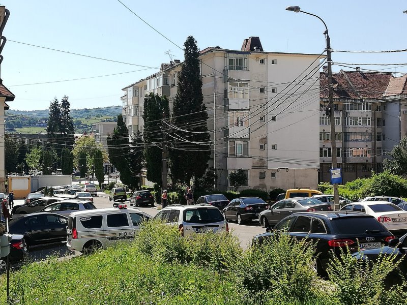 Invazie de furnici cu aripi în Câmpulung!