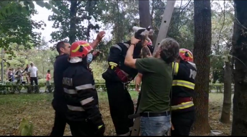 Bebe a fost salvat de la o înălțime de 14 metri