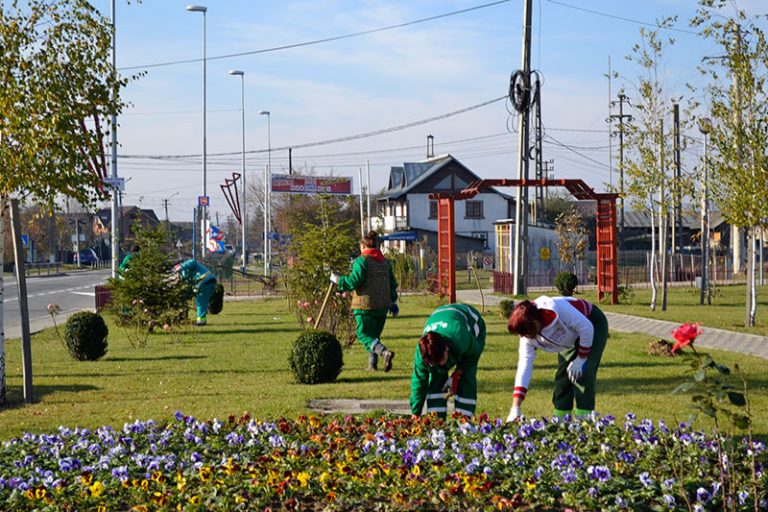 Campania „Plantează în România”  s-a reprogramat! Se vor planta arbori pe data de 1 aprilie 2016 Campania „Plantează în România”  s-a reprogramat! Se vor planta arbori pe data de 1 aprilie 2016