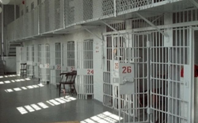Mandate puse în executare de polițiști