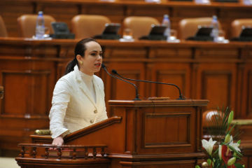 SIMONA BUCURA OPRESCU: Potrivit noului Cod Silvic traficul cu material lemnos fără acte intră în categoria infraţiunilor