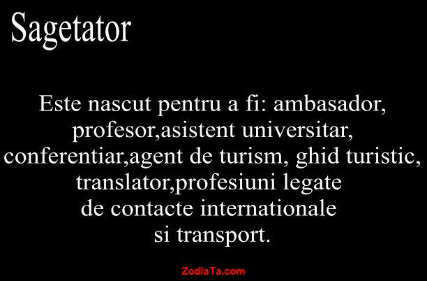 SĂGETĂTOR: Bani și viața profesională în 2017! SĂGETĂTOR: Bani și viața profesională în 2017!