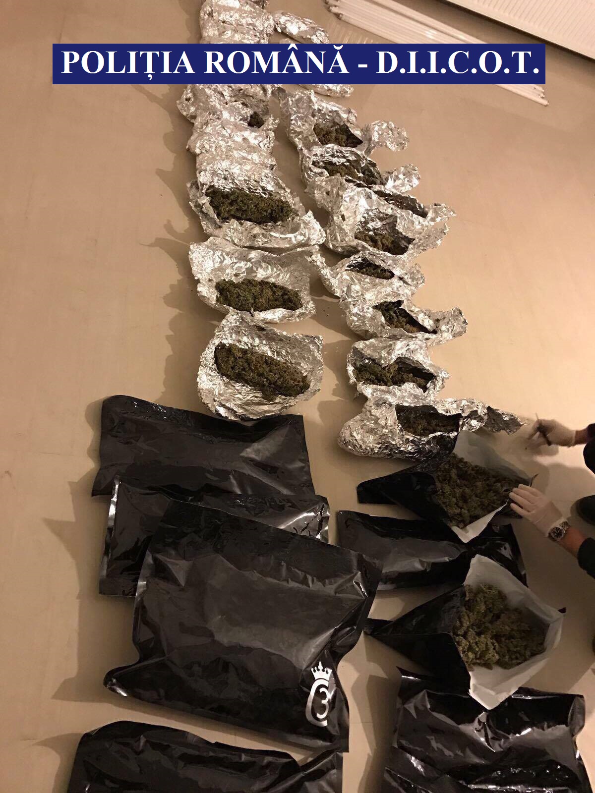 Au fost depistate 5 persoane implicate în comercializarea a 600 de grame de cannabis