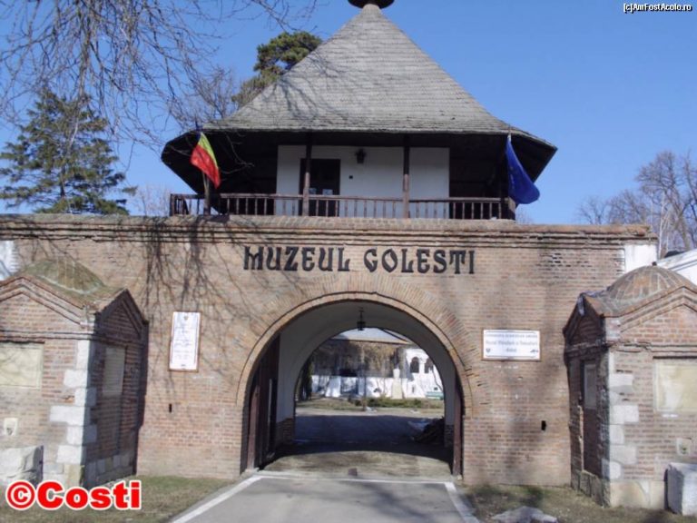 Muzeul Viticulturii şi Pomiculturii Goleşti lansează un concurs internaţional! Vezi condiţiile! Muzeul Viticulturii şi Pomiculturii Goleşti lansează un concurs internaţional! Vezi condiţiile!