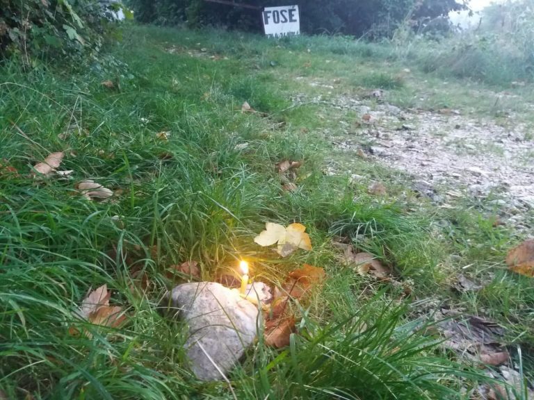 Câmpulungeanca dispărută, găsită moartă pe marginea drumului! Câmpulungeanca dispărută, găsită moartă pe marginea drumului!