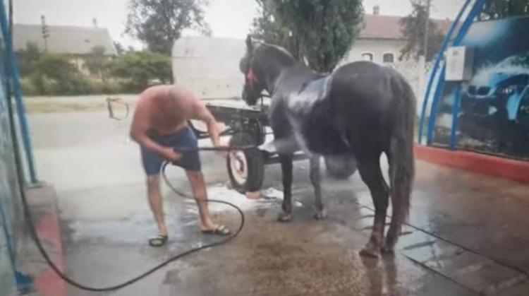 VIDEO. Duș rece la o spălătorie automată de maşini VIDEO. Duș rece la o spălătorie automată de maşini