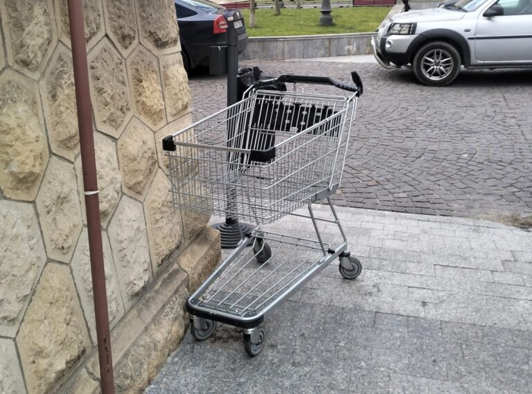 Belea. Pe unde au ajuns cărucioarele de la Kaufland, după ce oamenii s-au bătut pe ele!