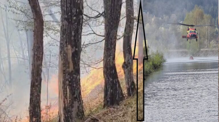 Incendiu devastator la coada barajului Pecineagu din comuna Rucăr! A fost chemat un elicopter! Incendiu devastator la coada barajului Pecineagu din comuna Rucăr! A fost chemat un elicopter!