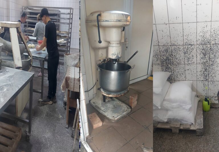 Piedone nu a descălecat la Câmpulung Muscel. Cu toate astea o fabrică de pâine și o patiserie din oraș au fost închise din cauza jegului