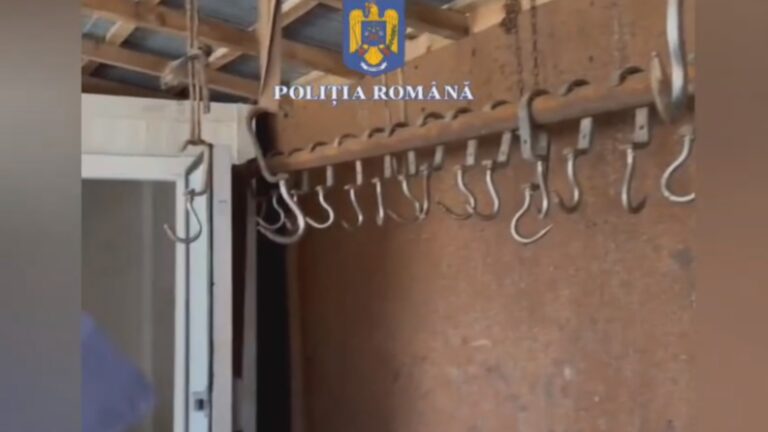 Abator clandestin. Un bărbat manevra carnea în condiții mizere după care o vindea la piață!